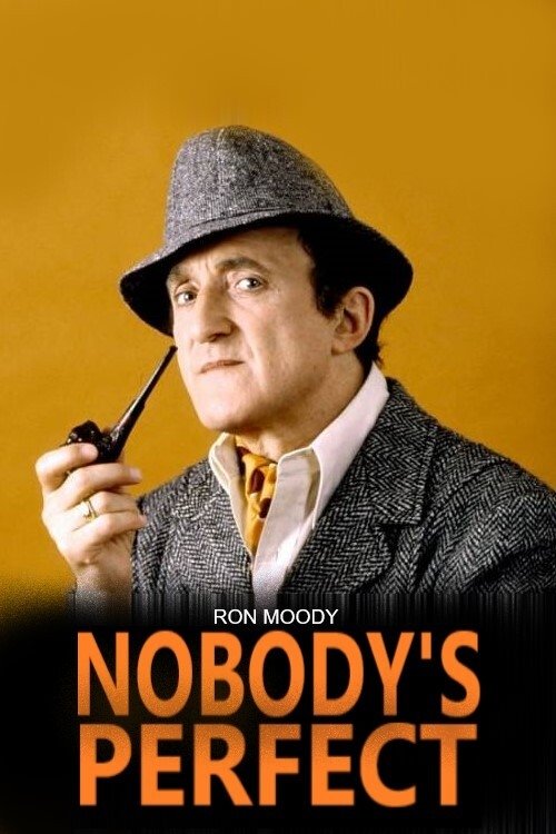 Poster de Nobody's Perfect