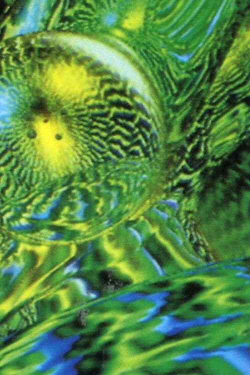 Poster de Float