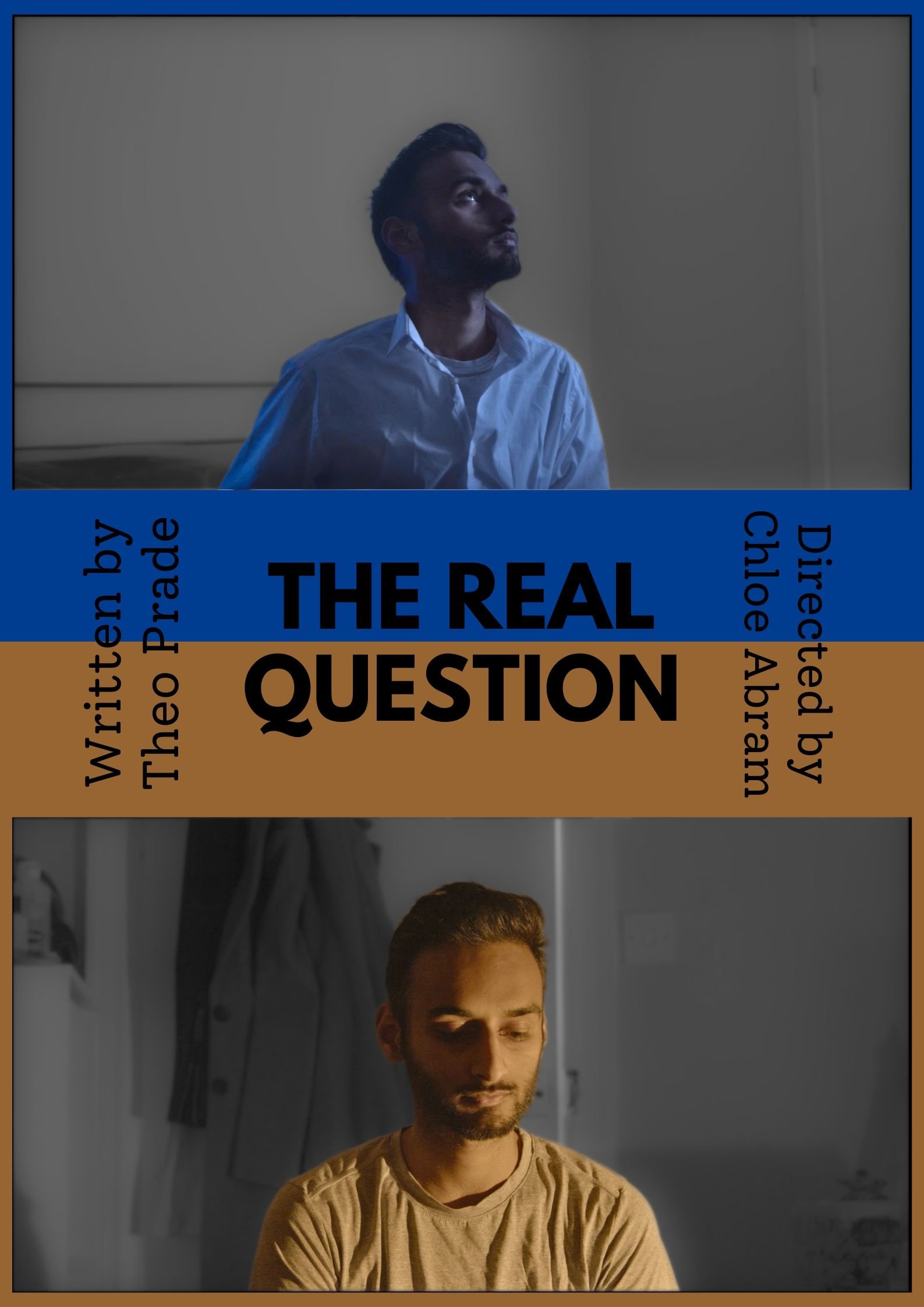 Poster de The Real Question