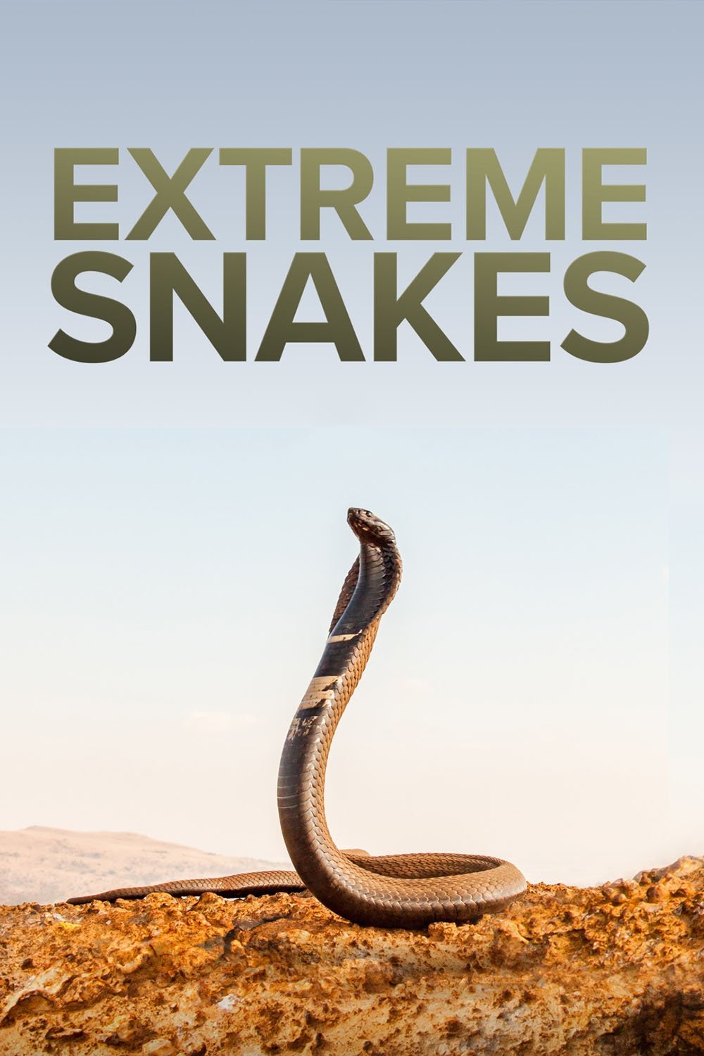 Poster de Extreme Snakes