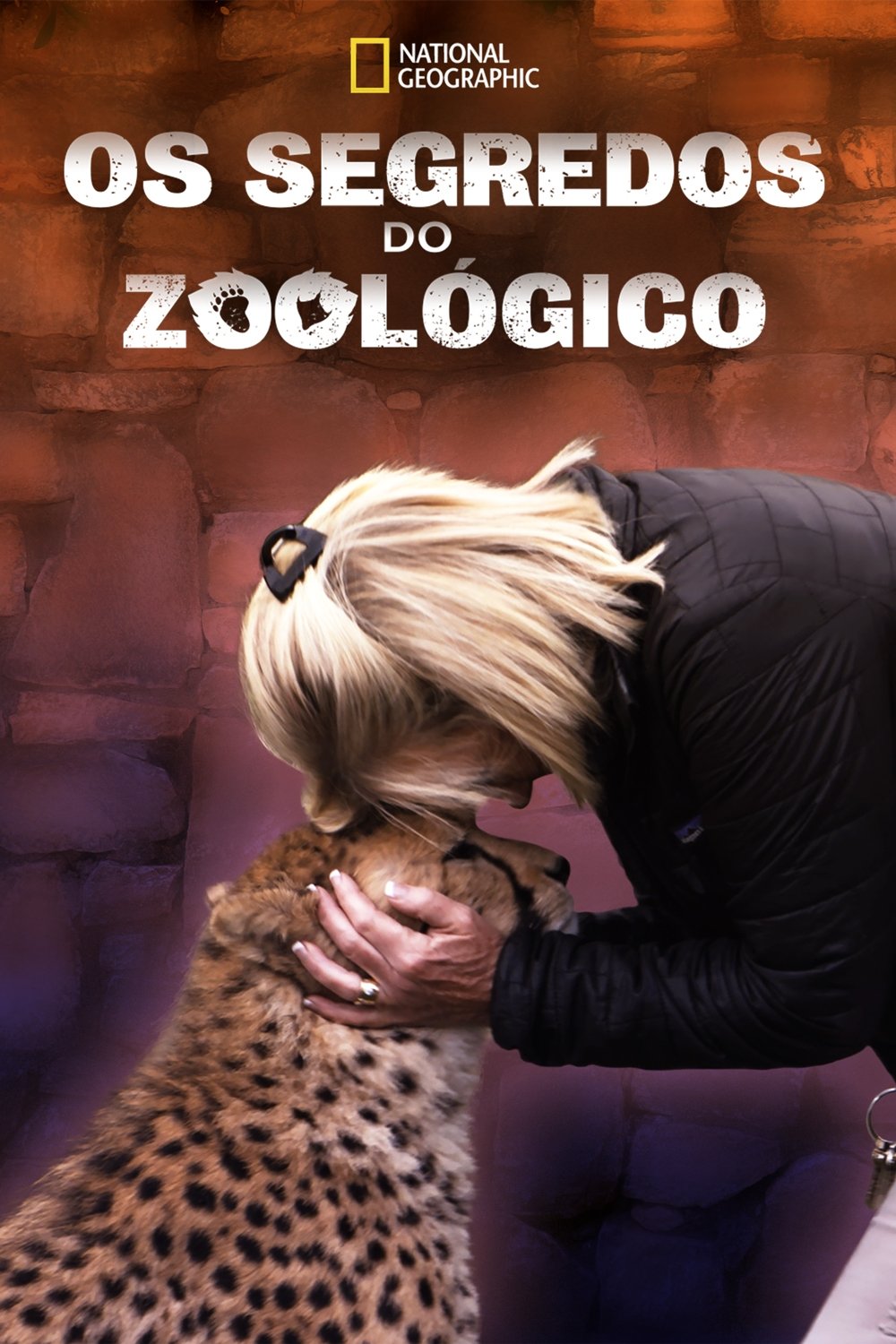 Poster de Os Segredos do Zoológico