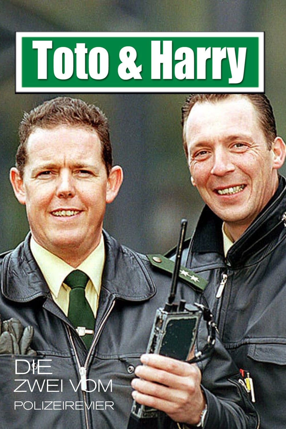 Poster de Toto & Harry