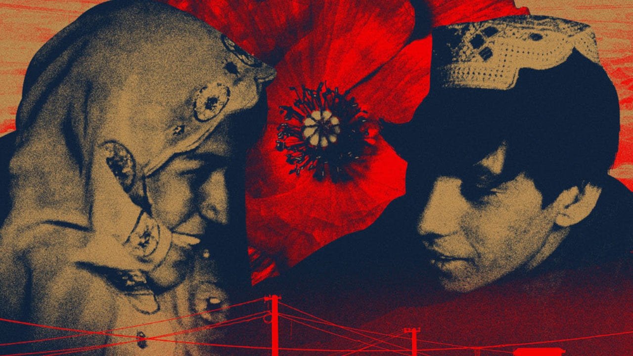 Backdrop image