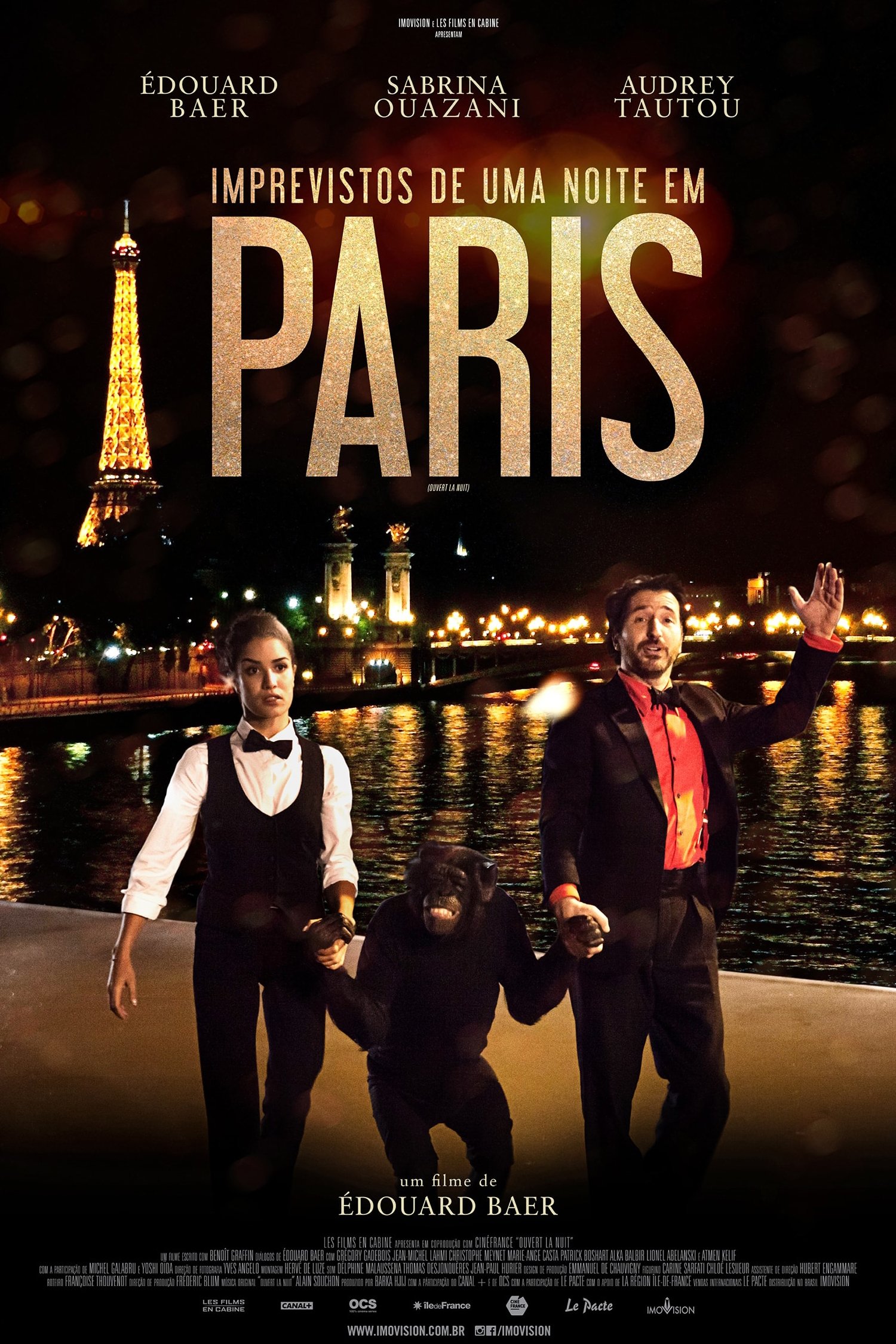Poster de Imprevistos de uma Noite Em Paris