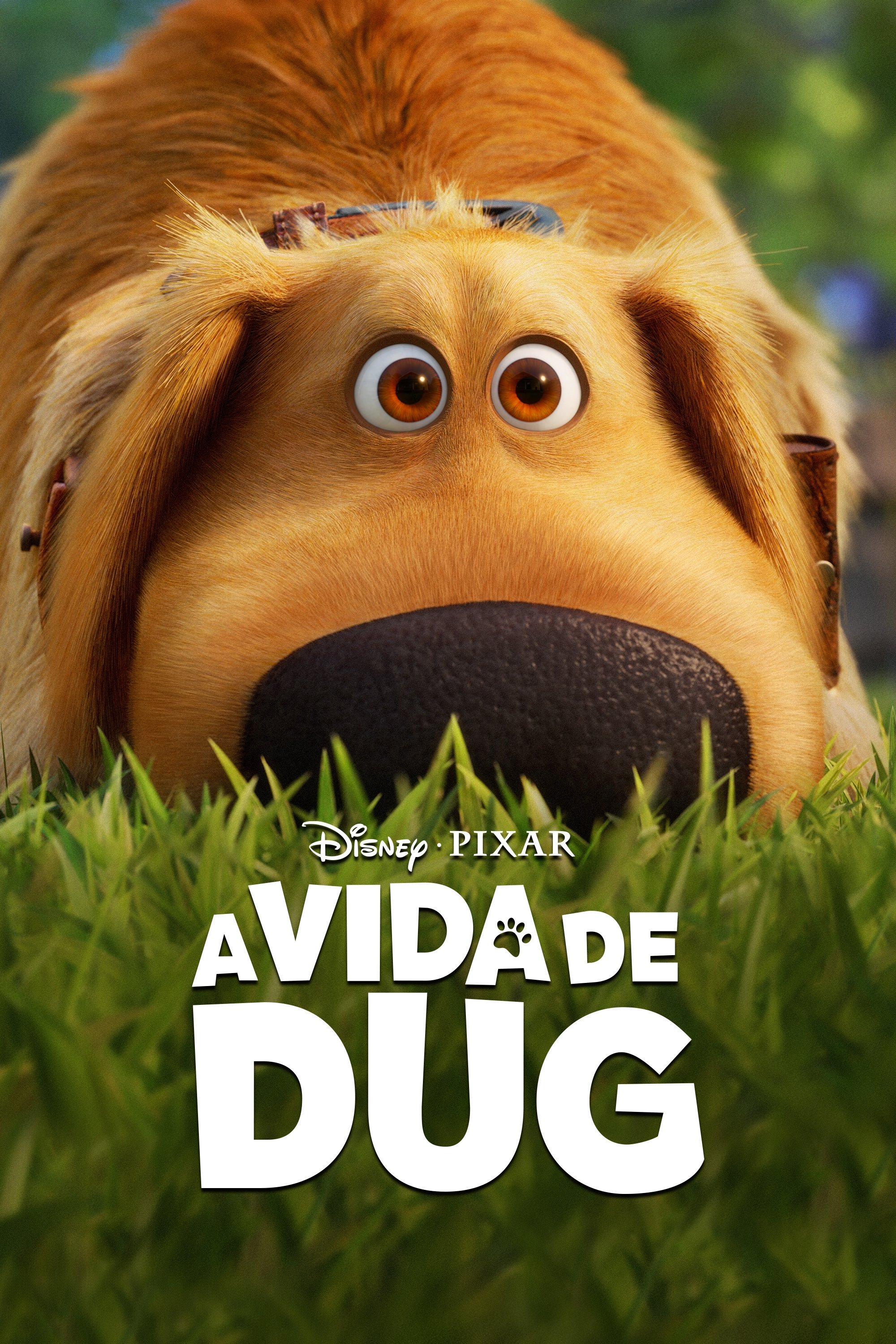 Poster de A Vida de Dug