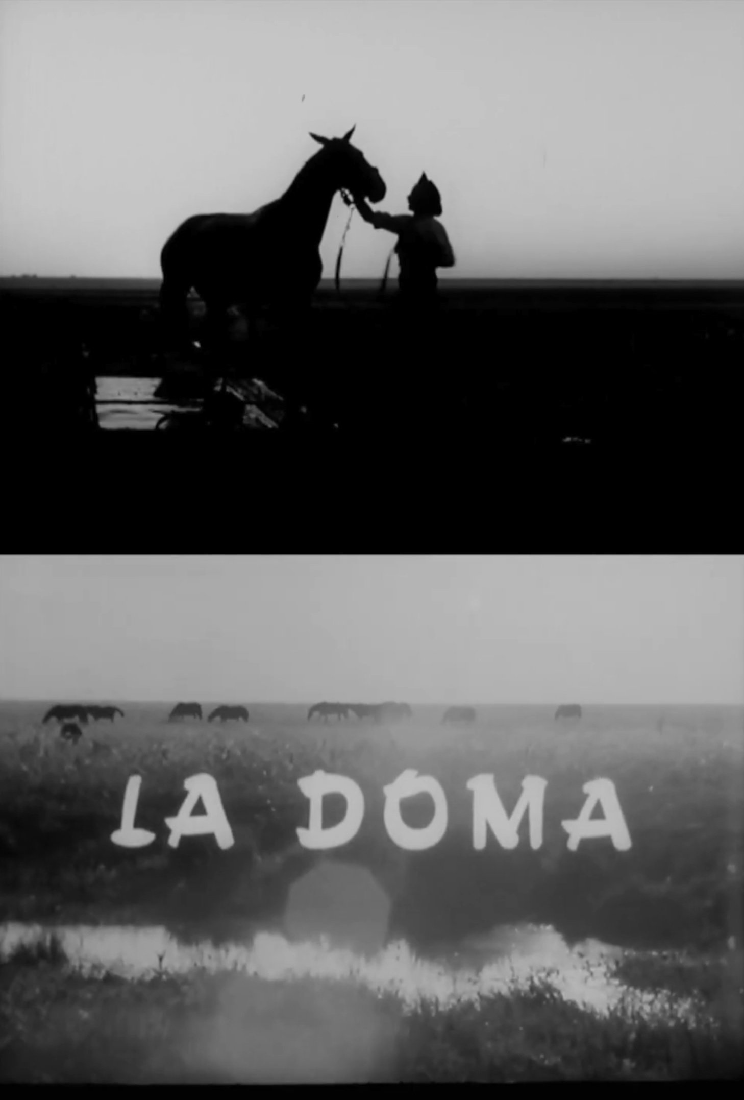 Poster de La doma