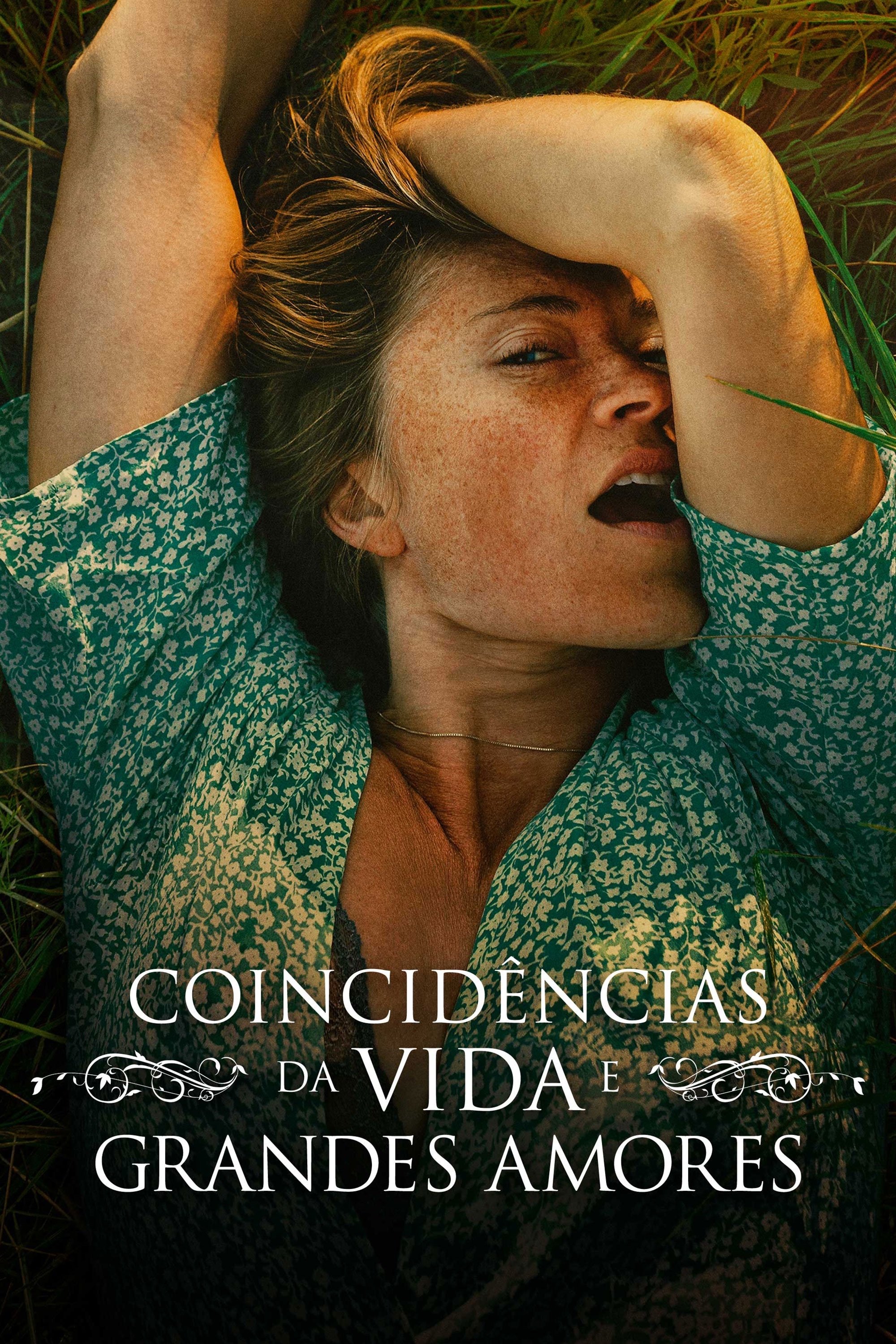 Poster de Coincidências da Vida e Grandes Amores