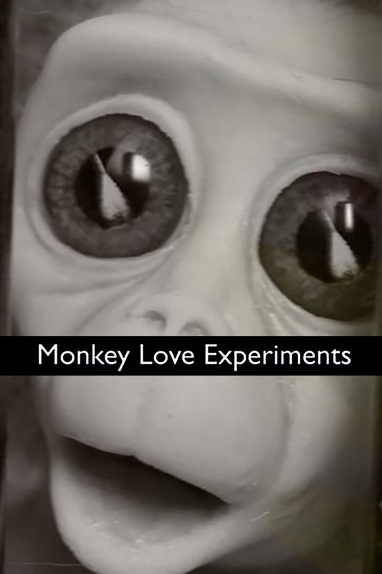 Poster de Monkey Love Experiments