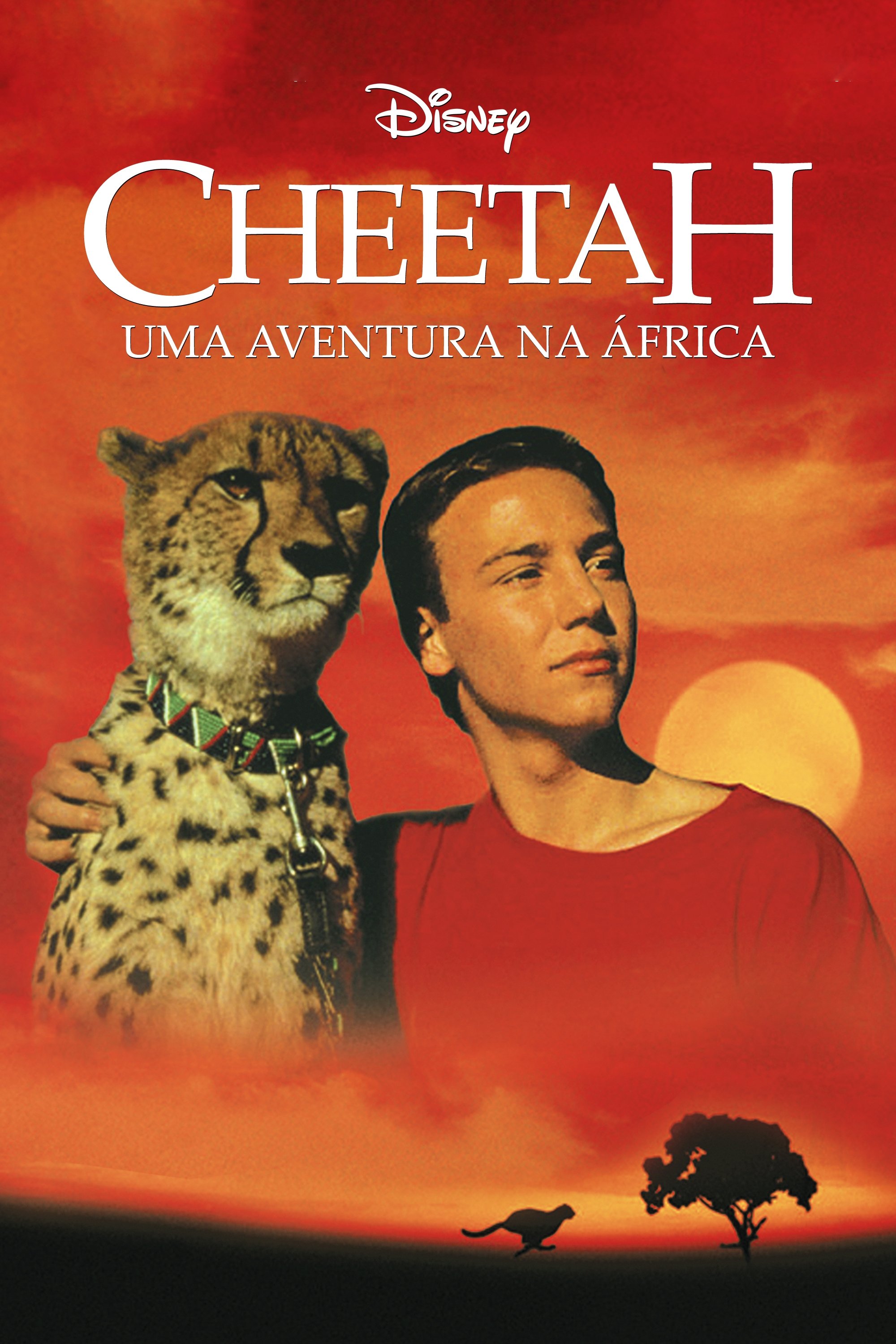 Poster de Cheetah - Uma Aventura na África