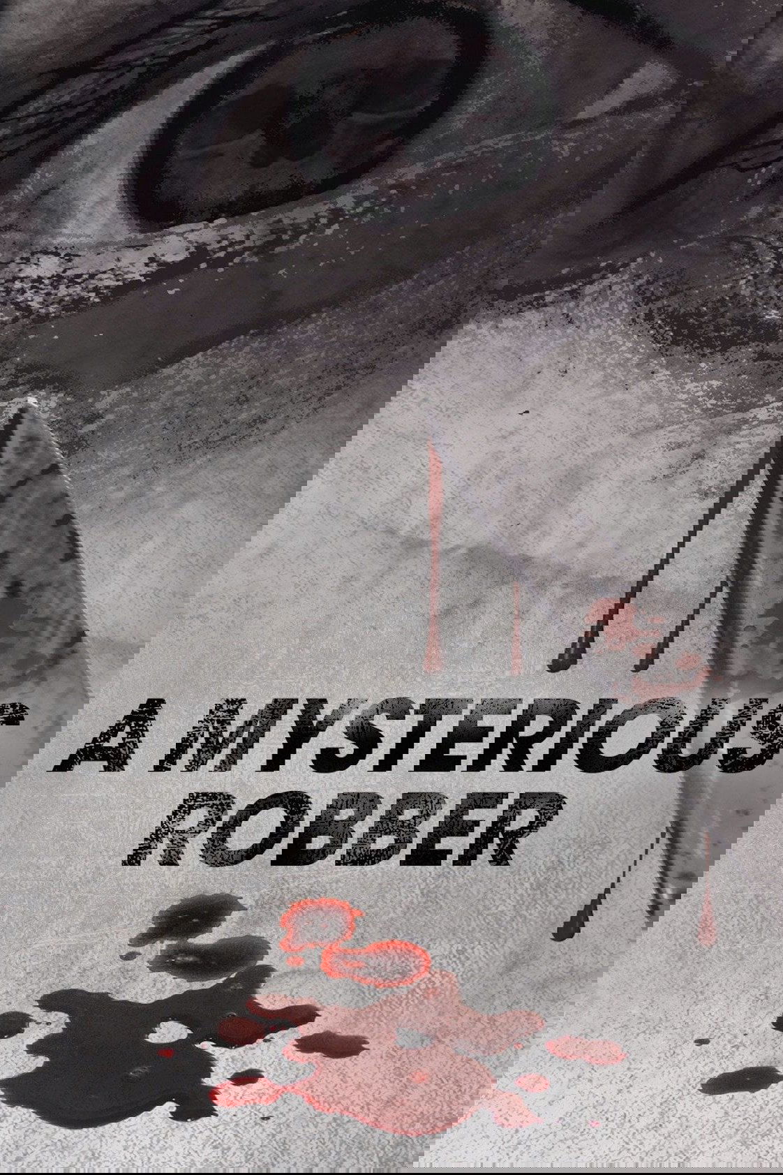 A Mysterious Robber