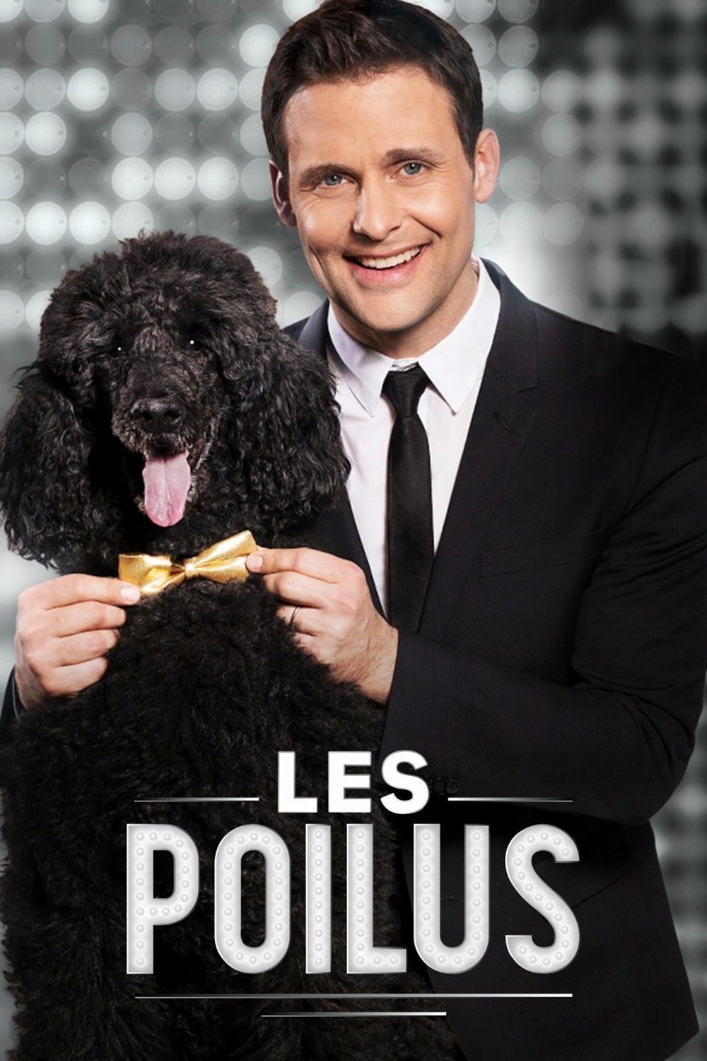 Poster de Les poilus
