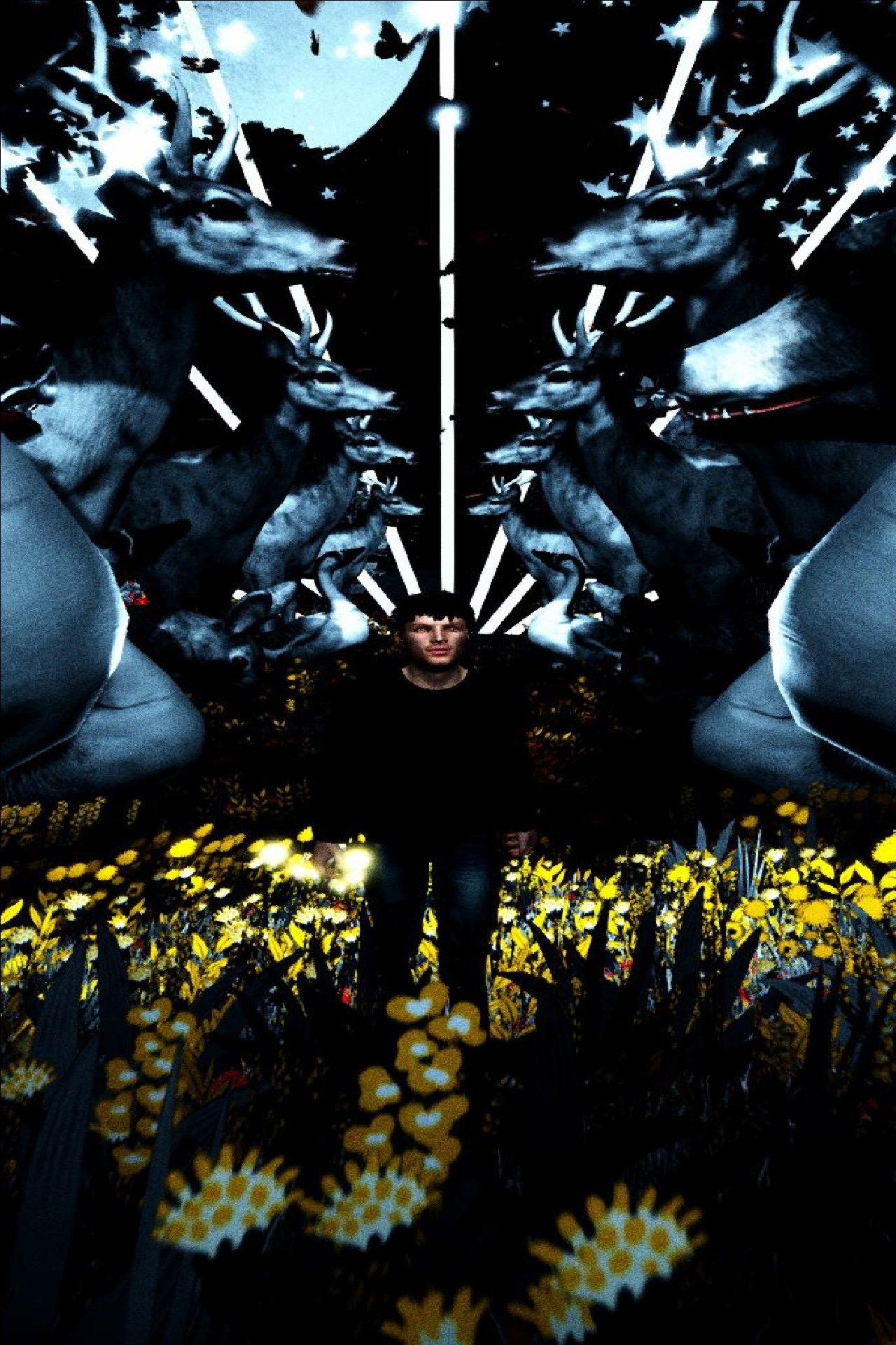 Poster de Siffler