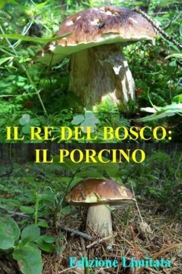 Poster de Il re del bosco: il porcino