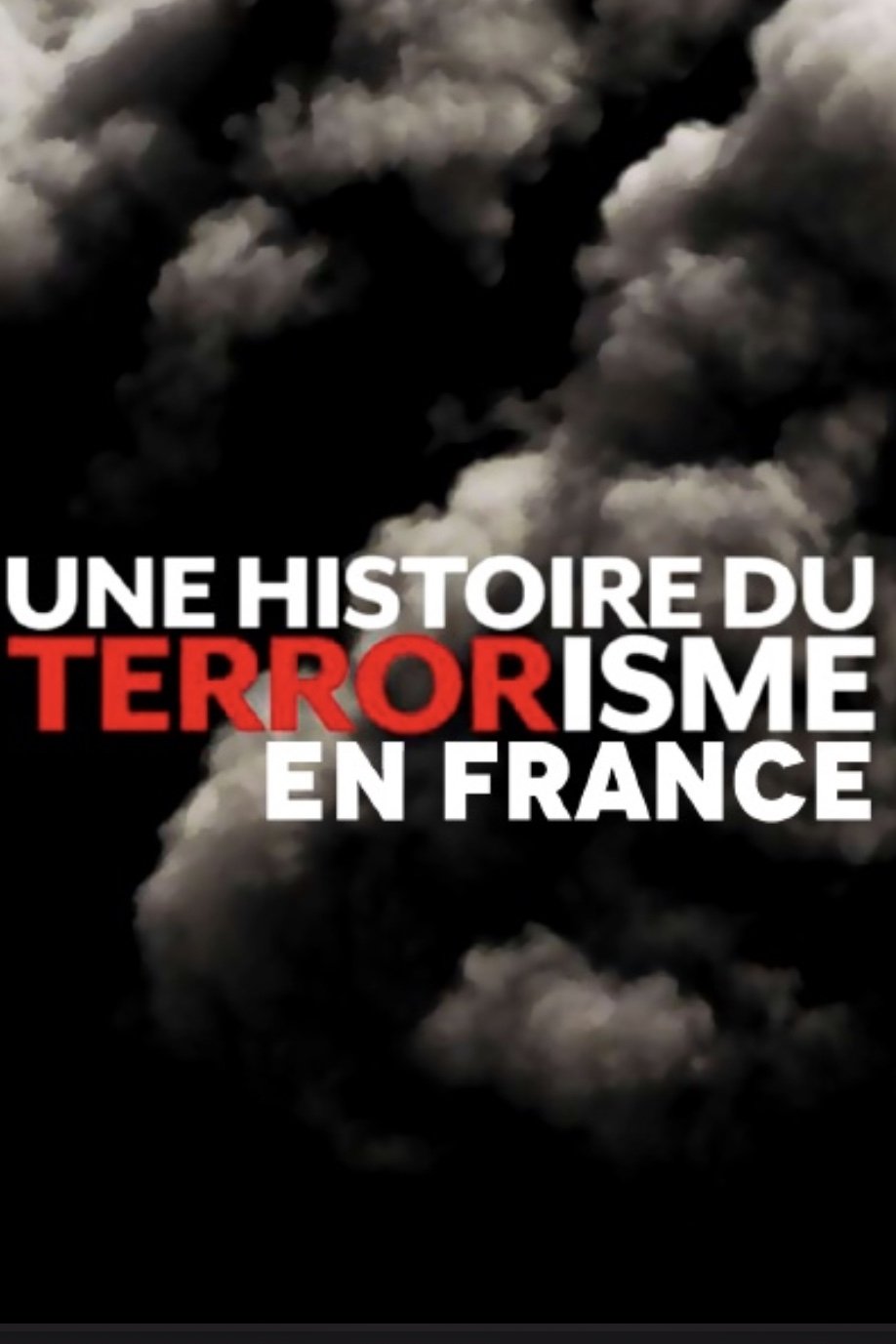 Poster de Une histoire du terrorisme