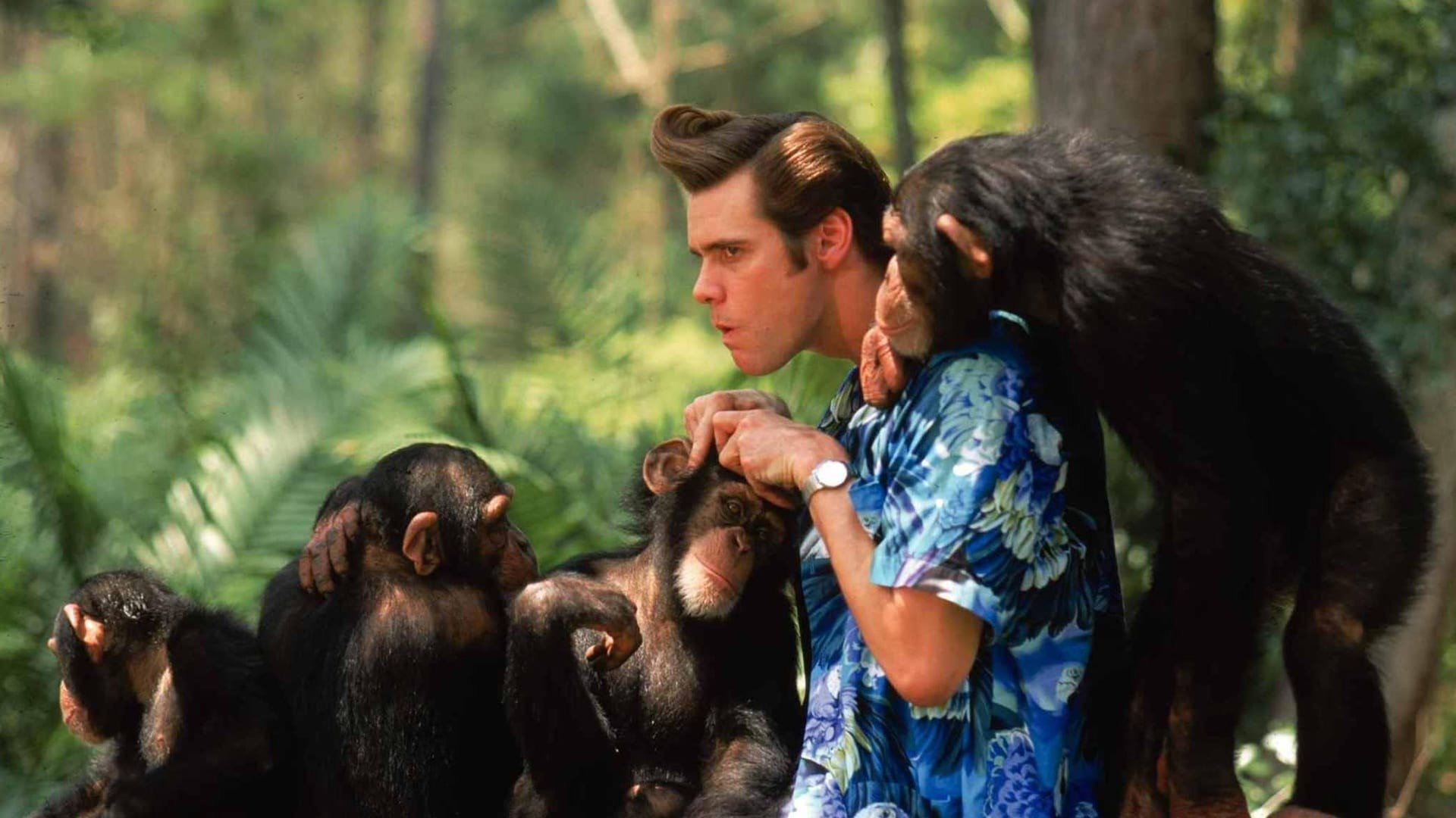 Ace Ventura: When Nature Calls 1995 Soap2Day