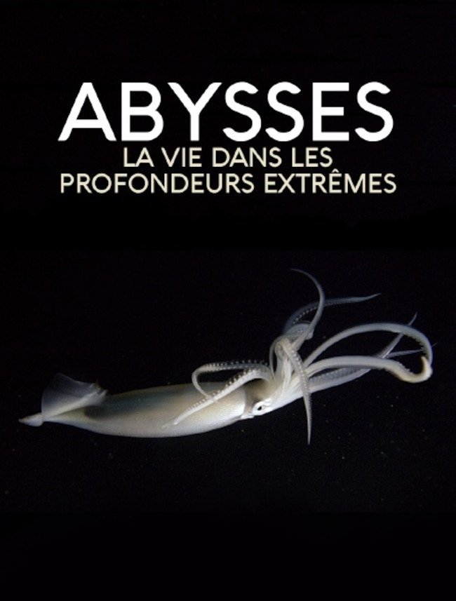 Affiche du film Abysses, la vie dans les profondeurs extrêmes