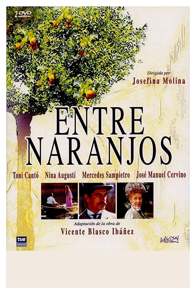Poster de Entre naranjos