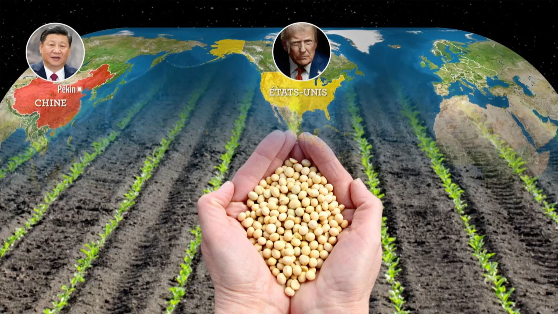 The soybean, a geopolitical crop