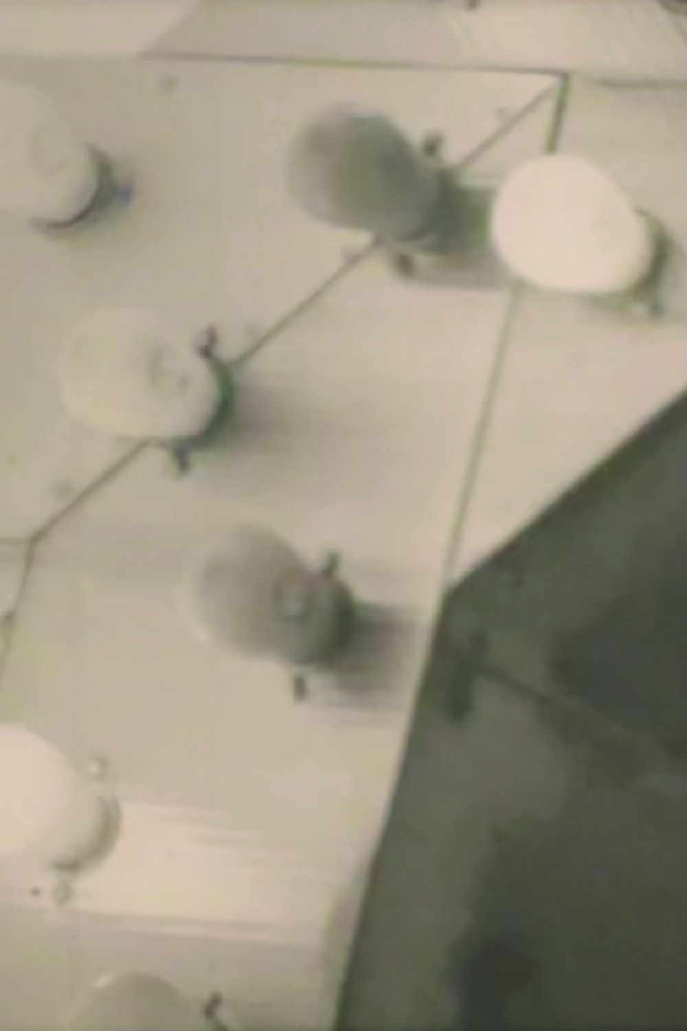 Notes on the Buffalo Conference: “Autobiography in American Independent Cinema”