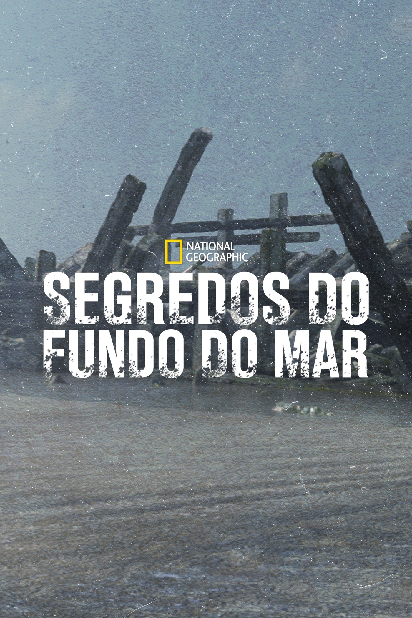 Poster de Temporada 4