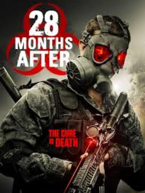 Poster de 28 Months After