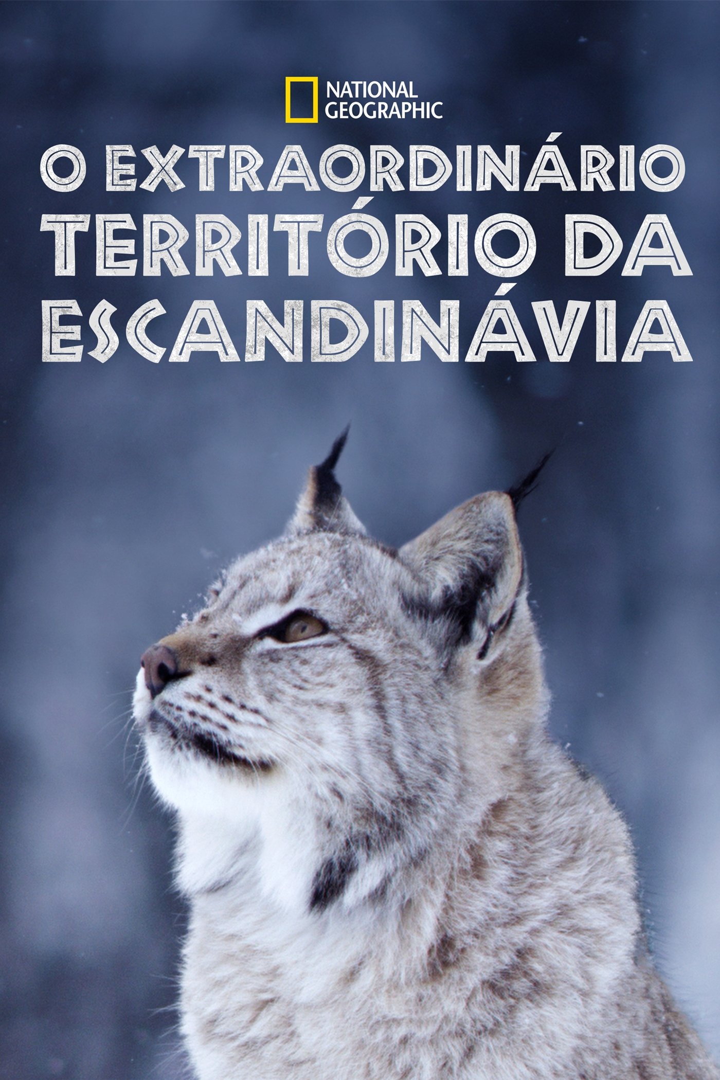 Poster de O Extraordinário Território da Escandinávia