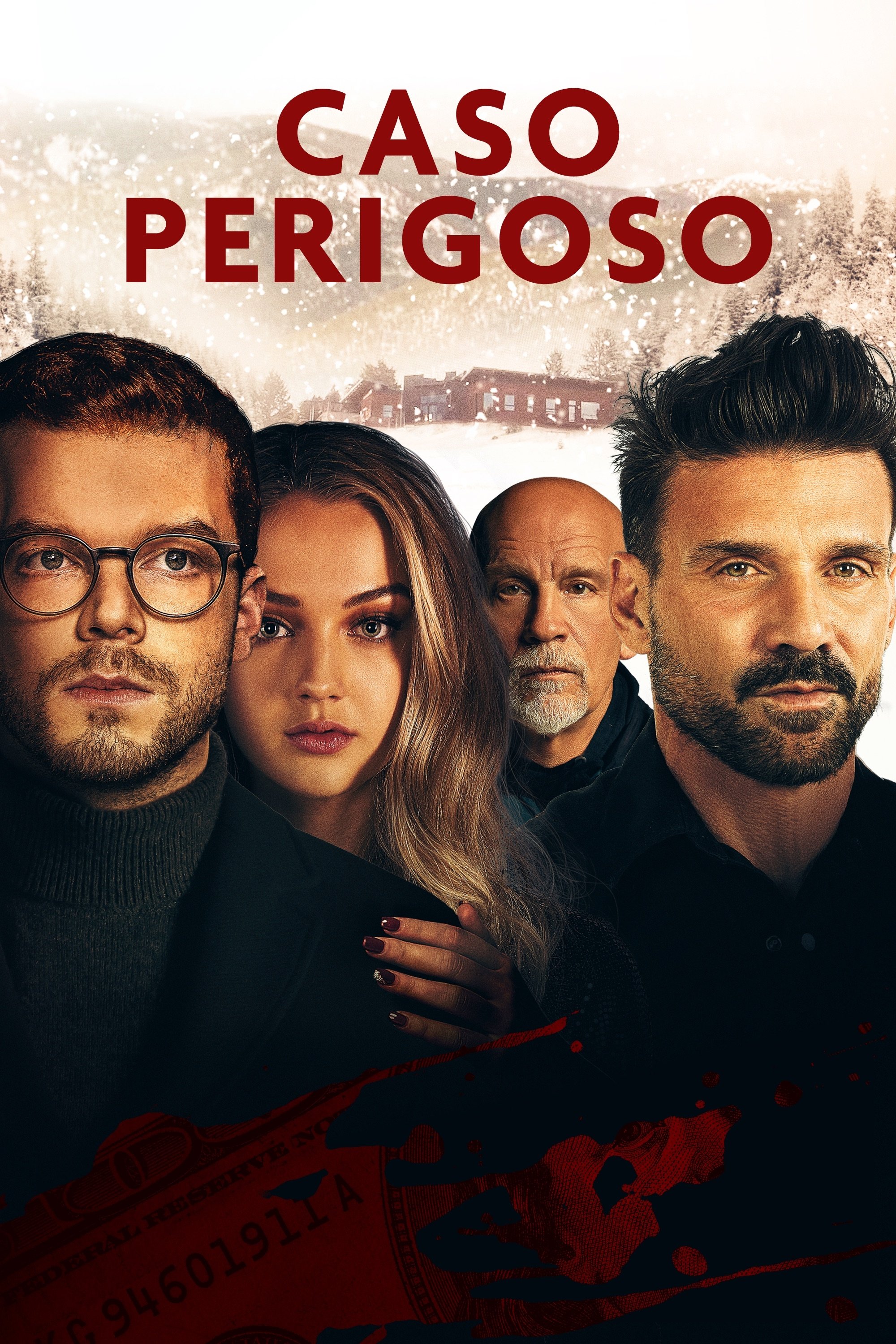 Poster de Caso Perigoso