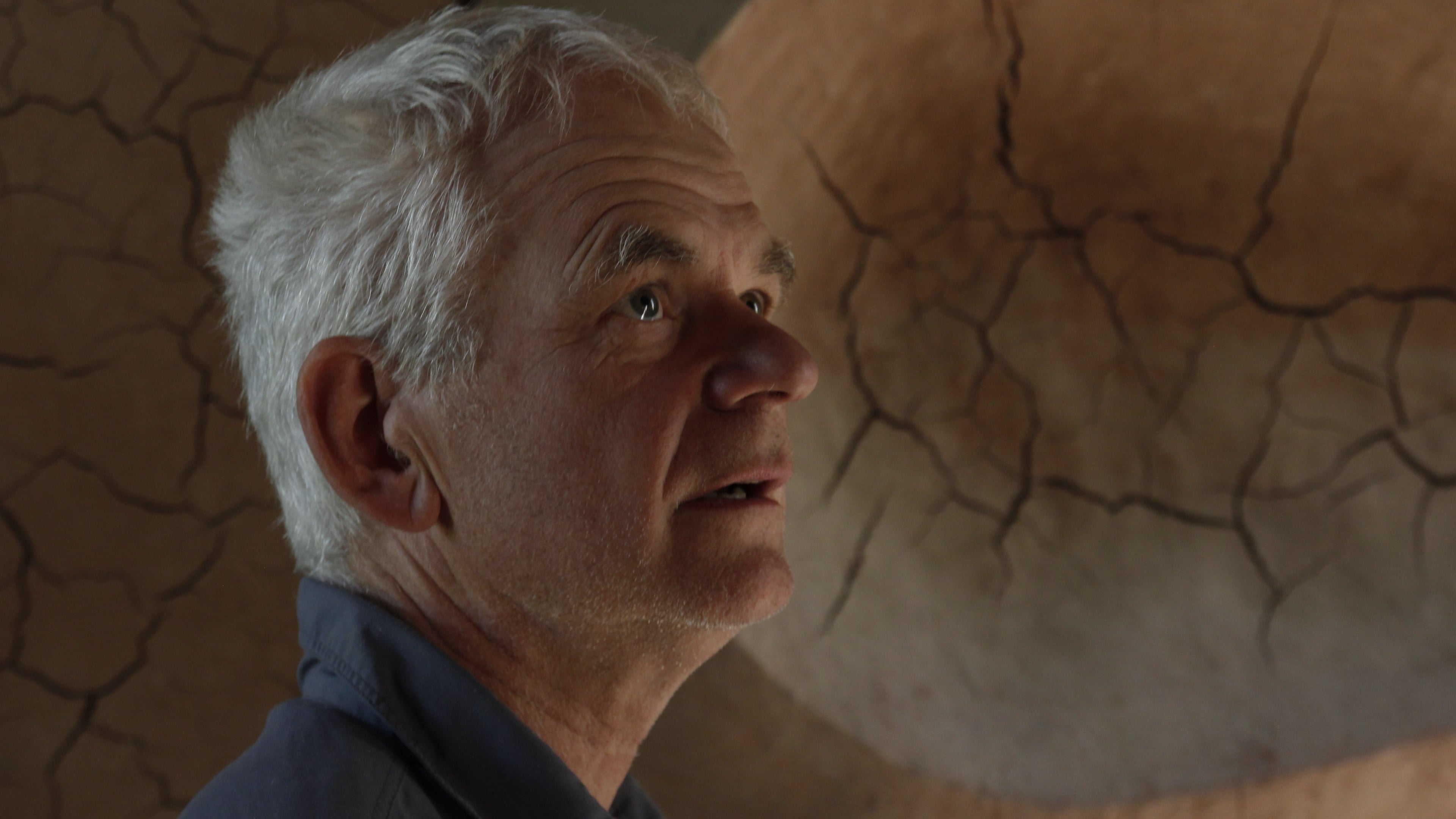 Leaning Into the Wind: Andy Goldsworthy 2018 123movies