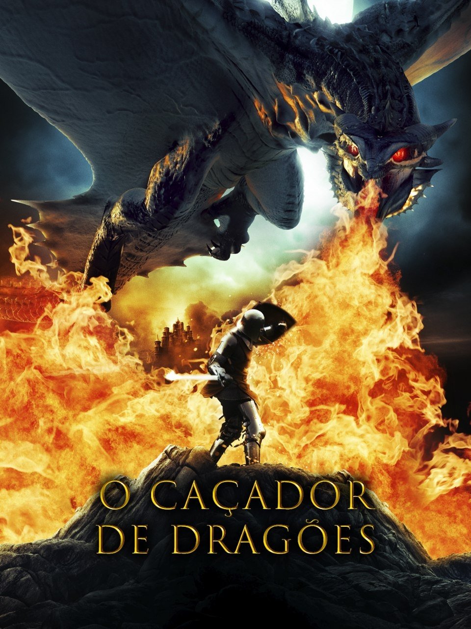 Poster de O Caçador de Dragões