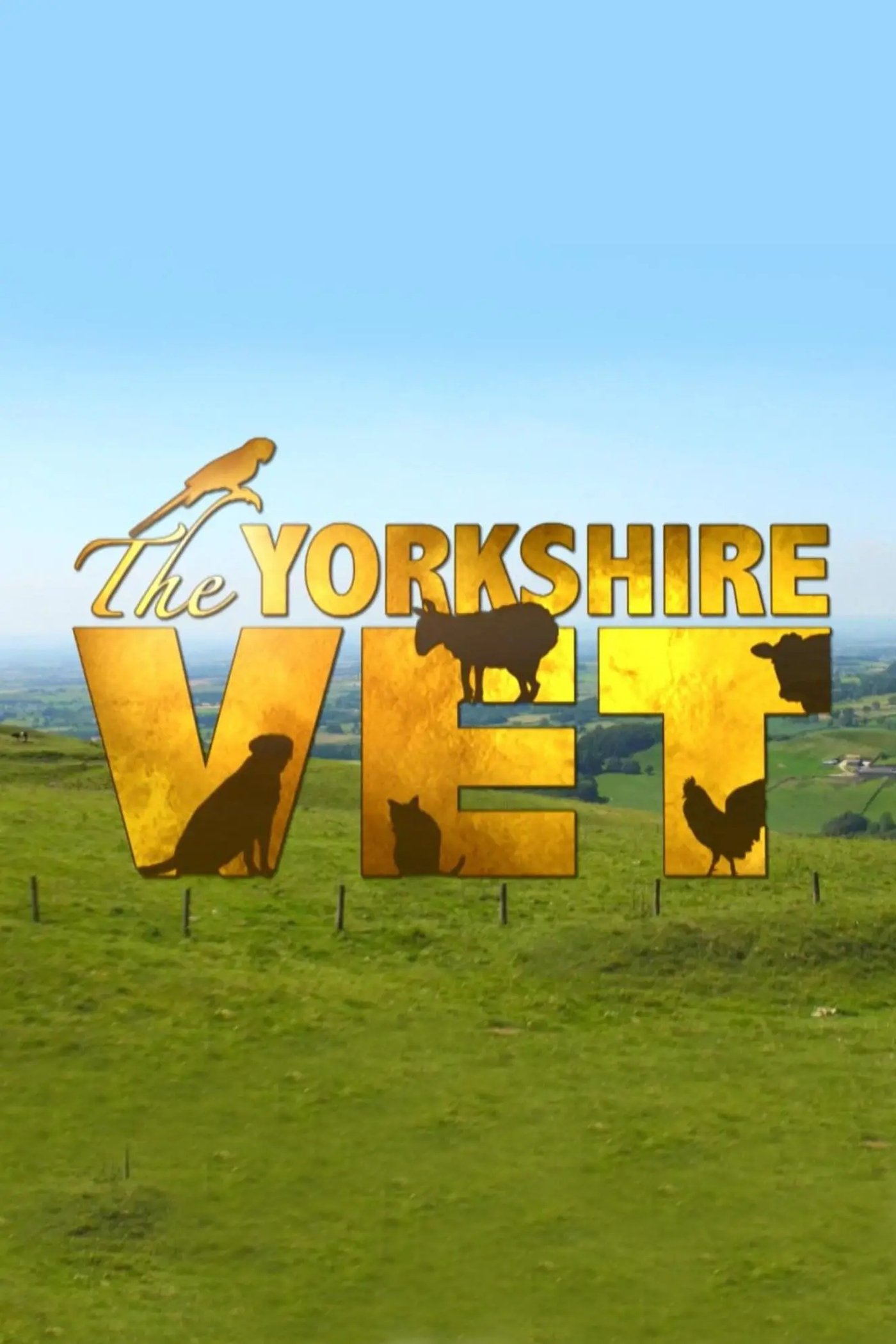 Poster de The Yorkshire Vet