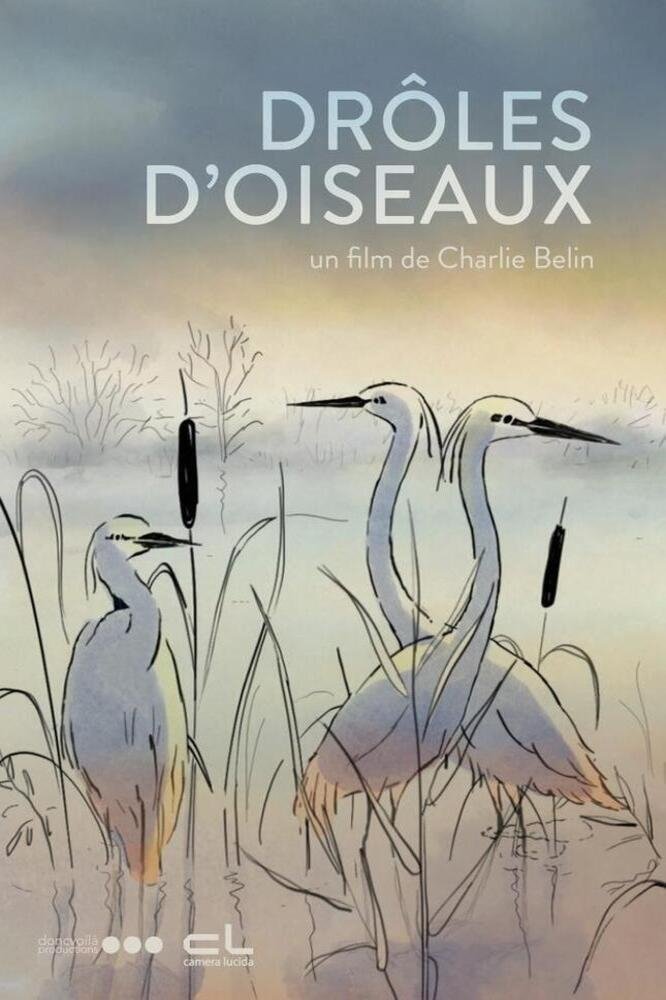 Poster de Drôles d'oiseaux