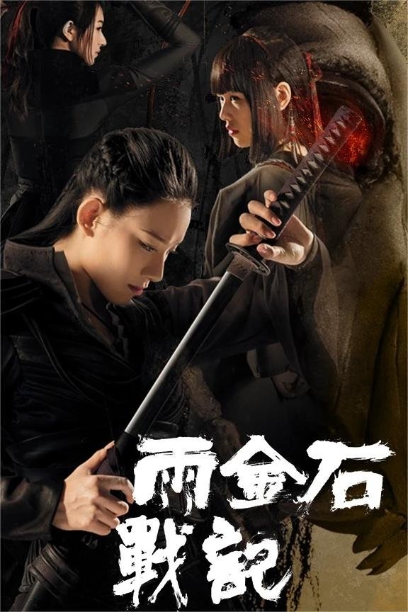 Poster de 雨金石战记