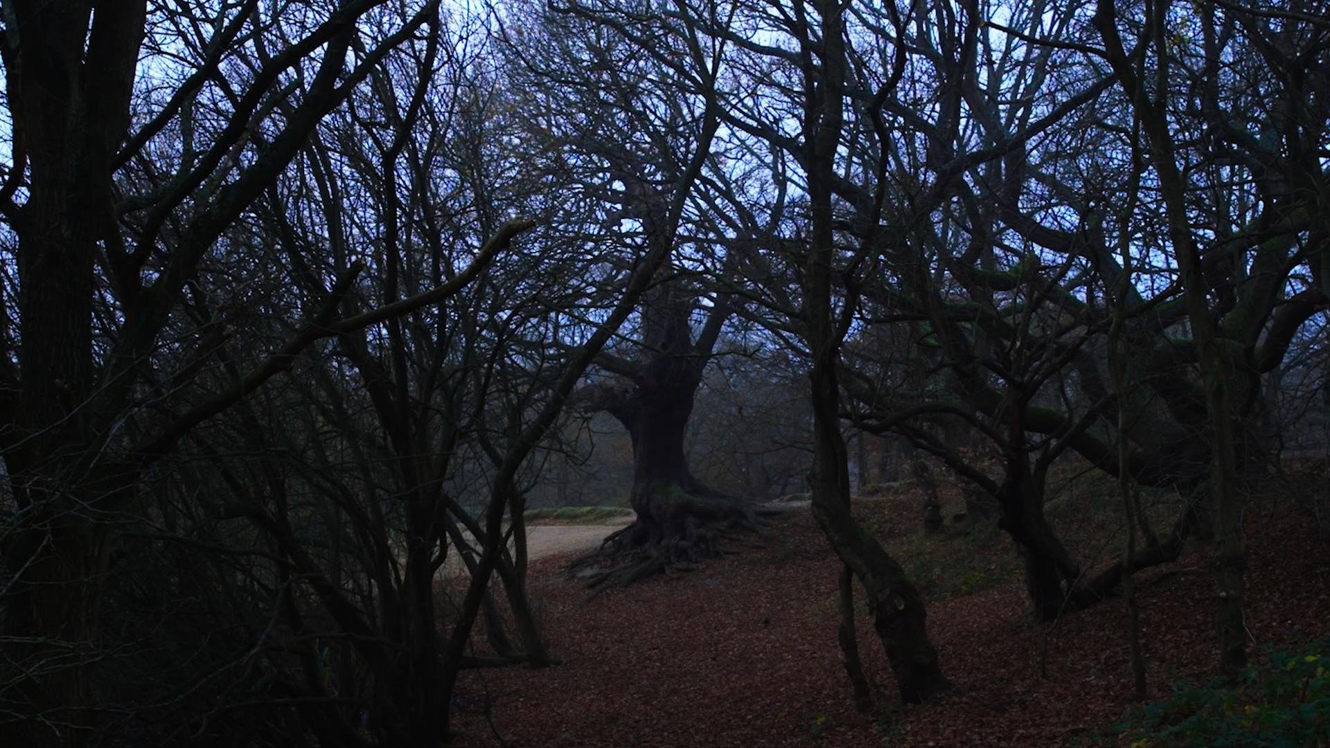 Backdrop image