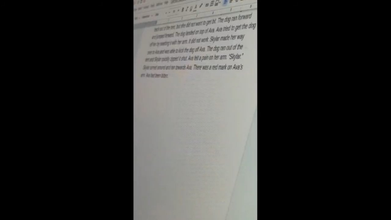 The Author