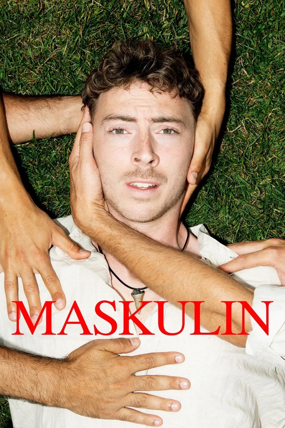 Poster de MASKULIN