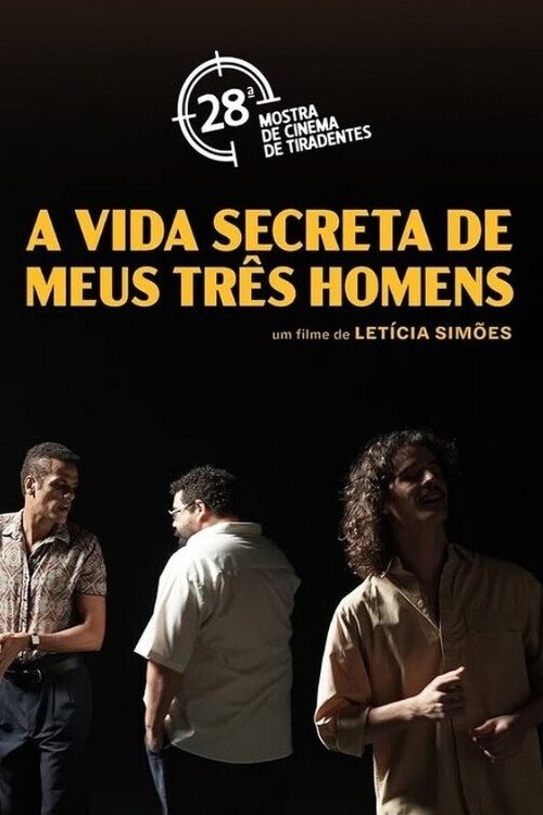Poster de A Vida Secreta de Meus Três Homens