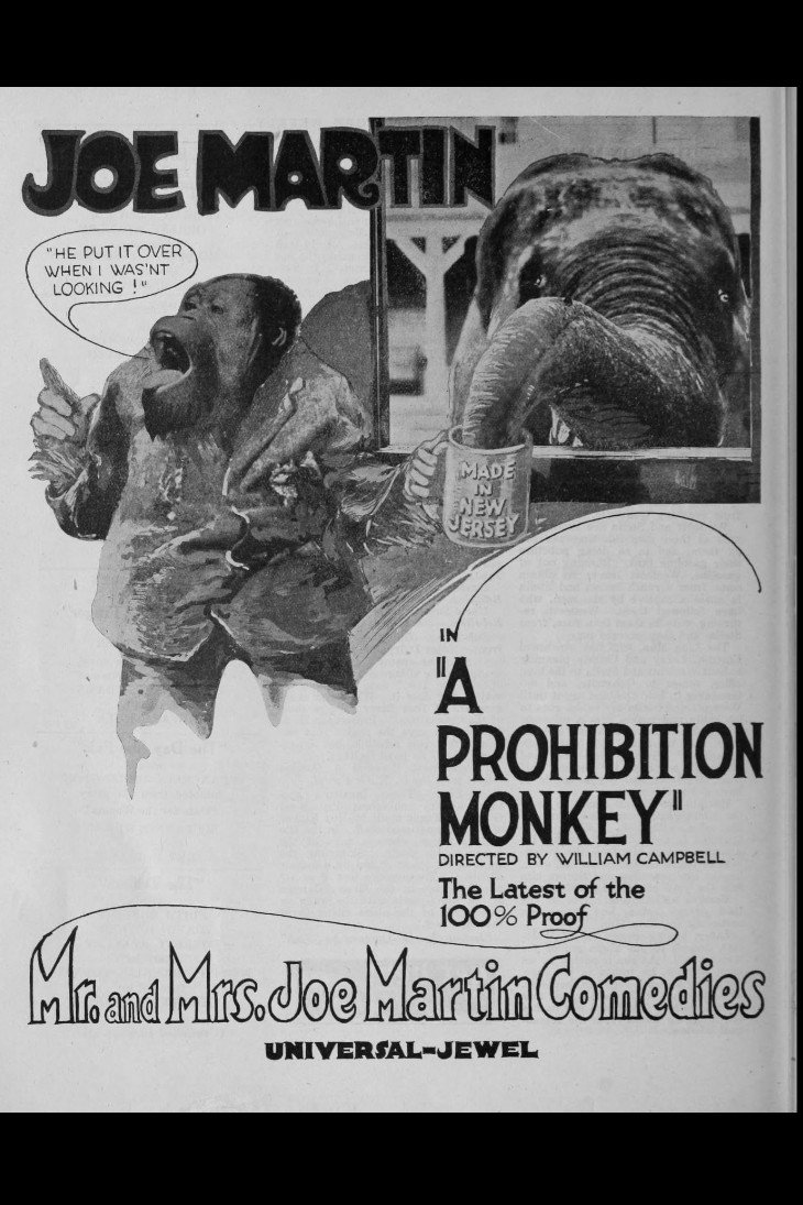 Poster de A Prohibition Monkey
