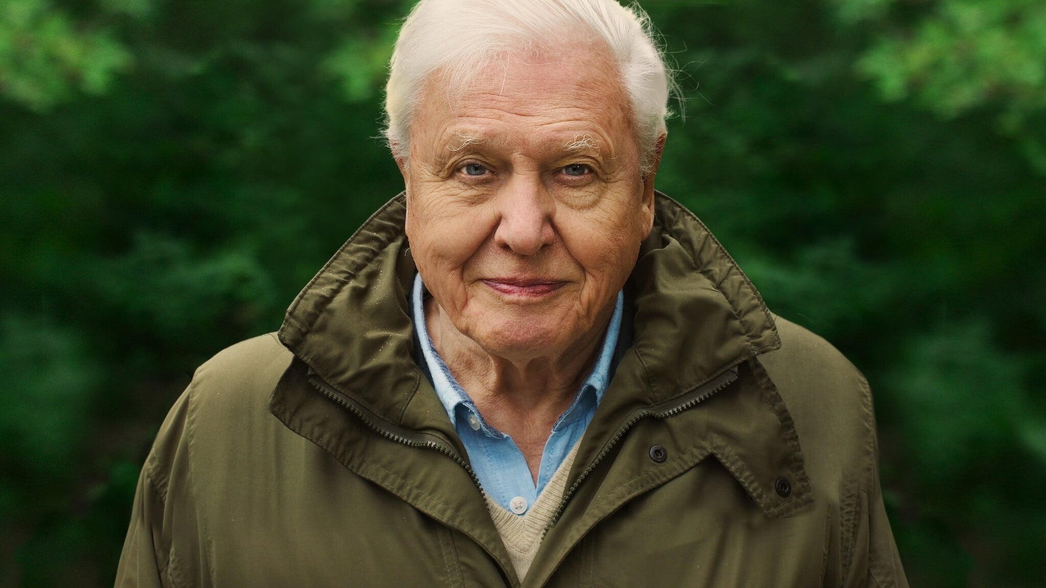 David Attenborough: A Life on Our Planet 2020 123movies