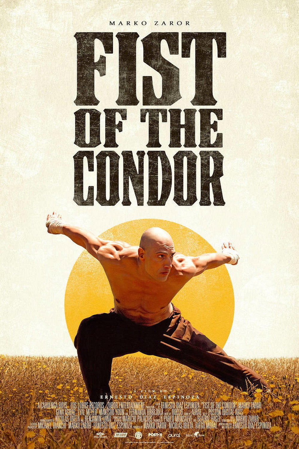 The Fist of the Condor poster