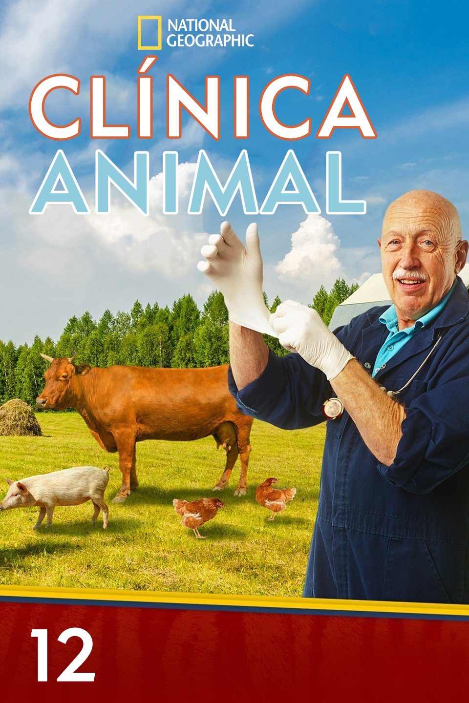 Poster de Temporada 12