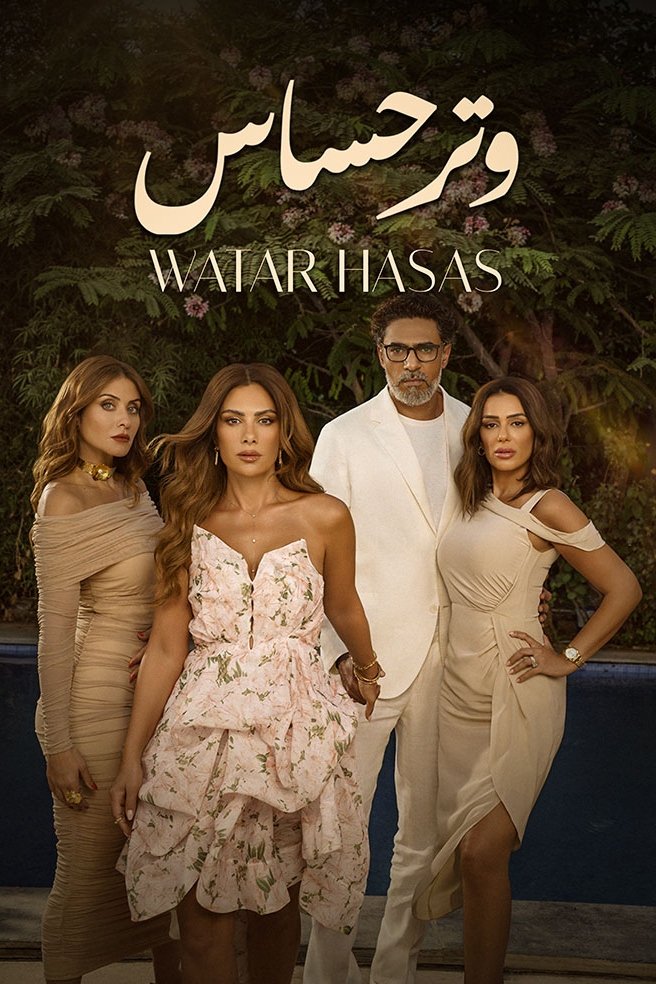 Poster de وتر حساس