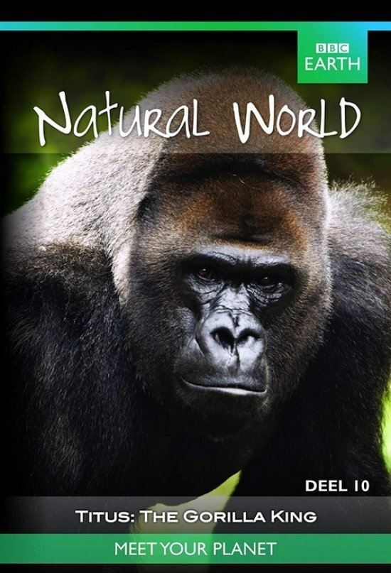 Poster de Titus: The Gorilla King