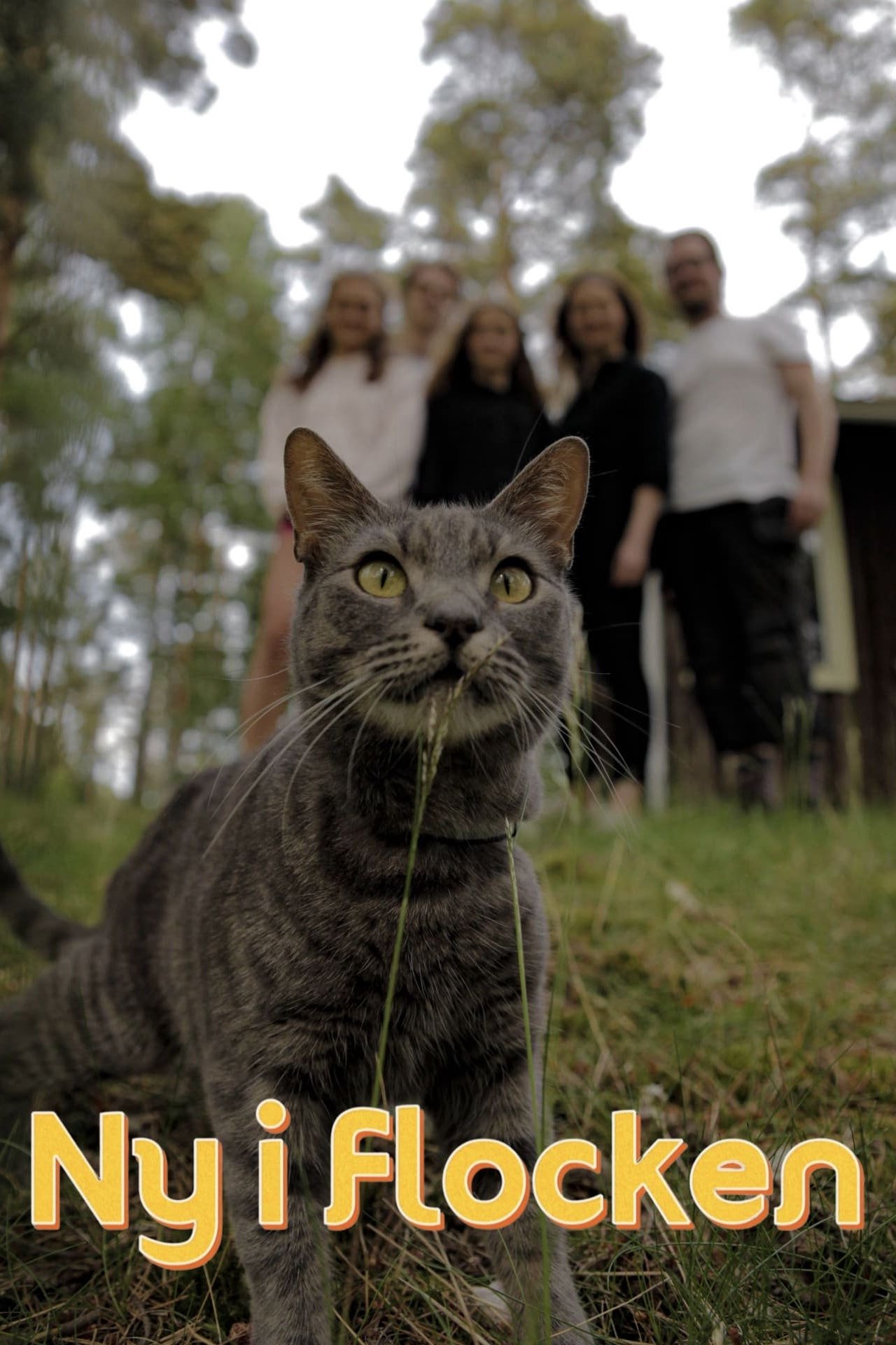 Poster de Ny i flocken