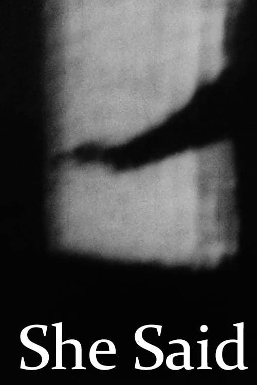 Poster de She Said