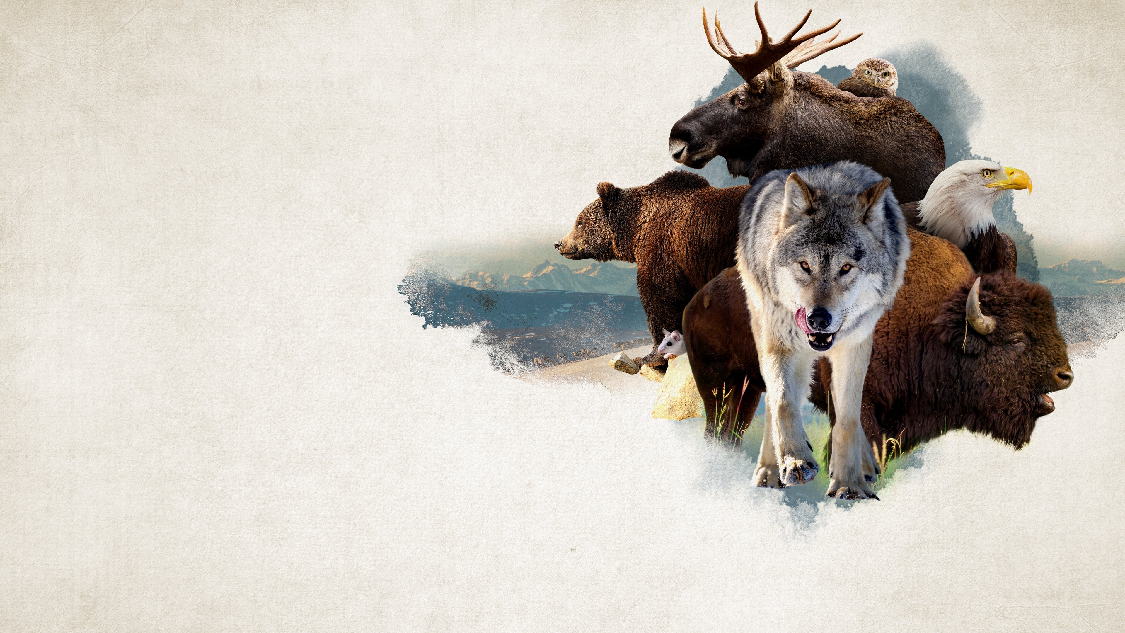 Backdrop image