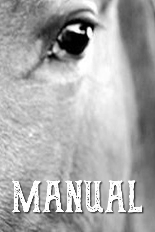 Poster de Manual