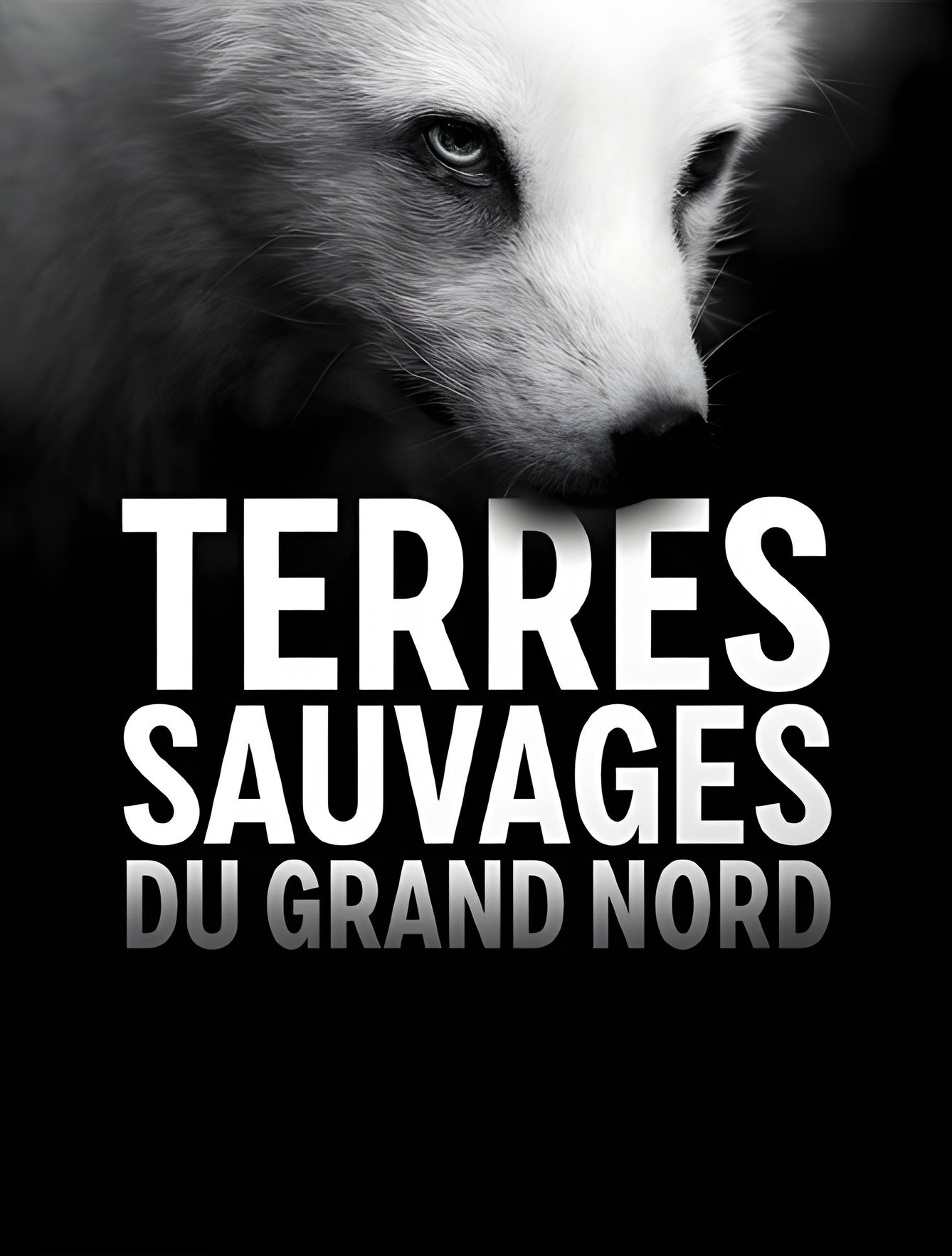 Poster de Terres sauvages du Grand Nord