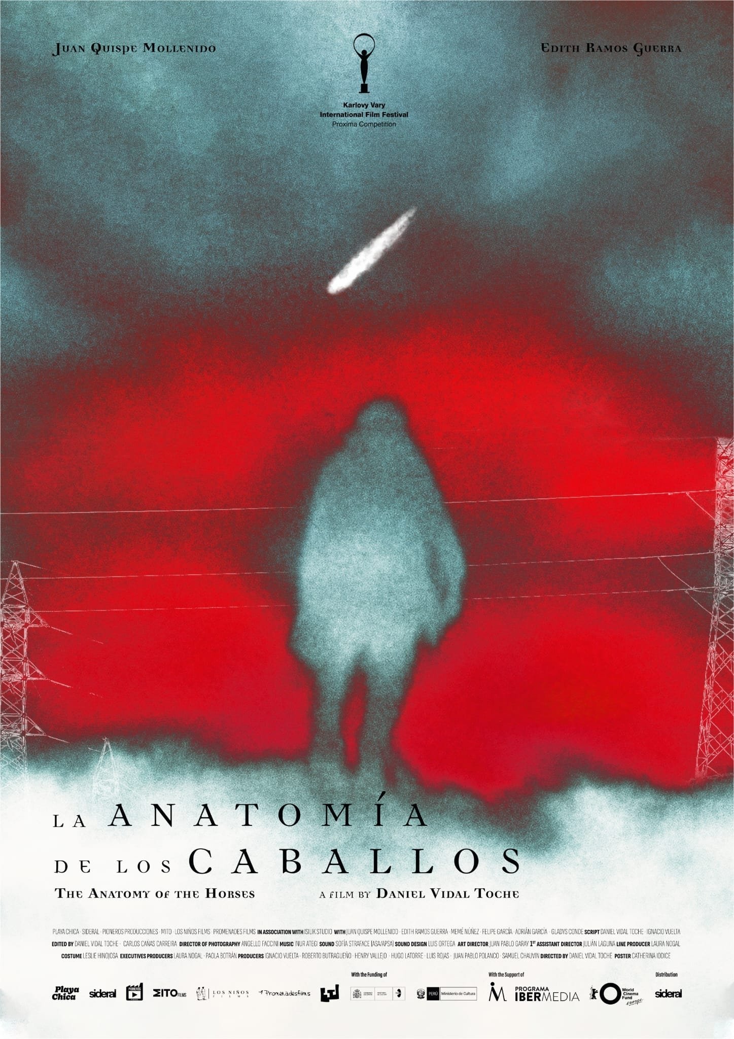 Poster de La anatomía de los caballos