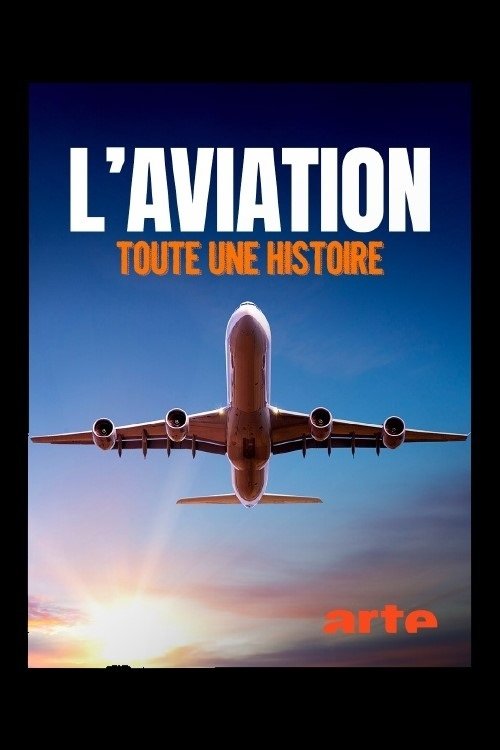 Poster de L'aviation, toute une histoire