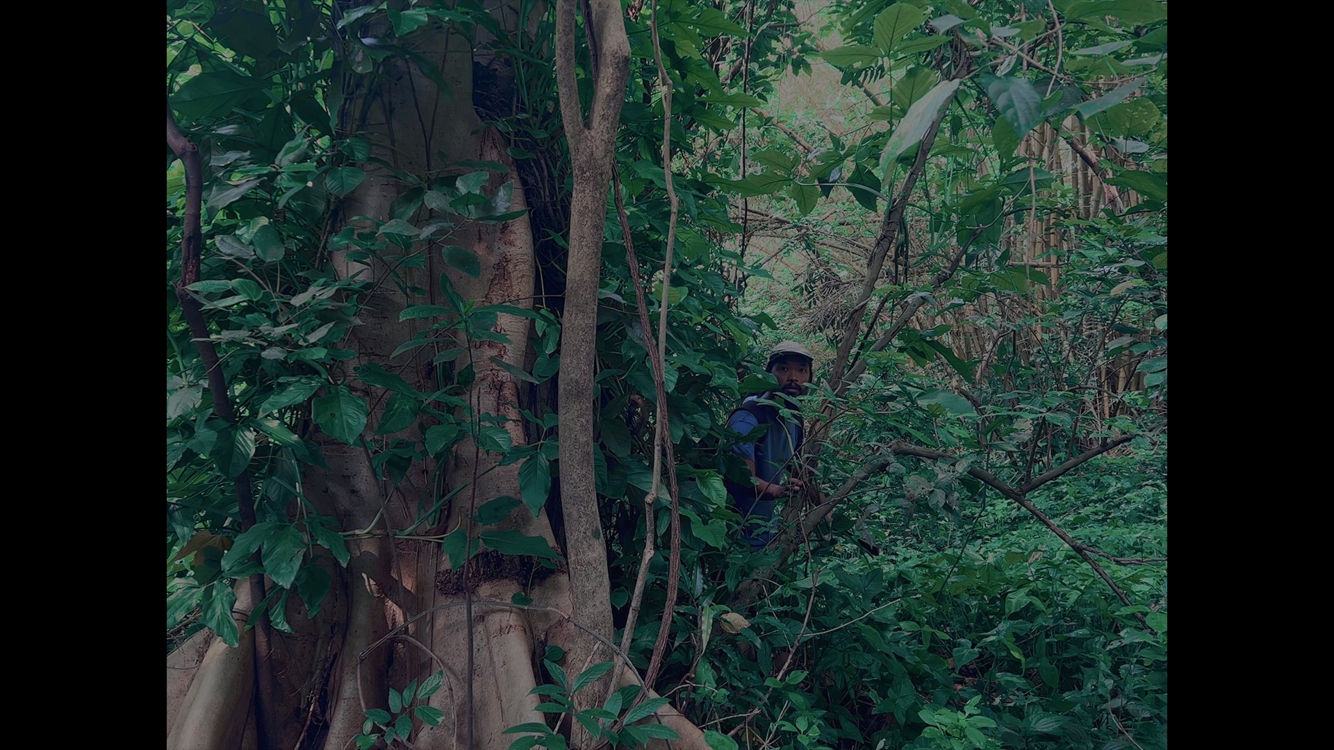 Backdrop image